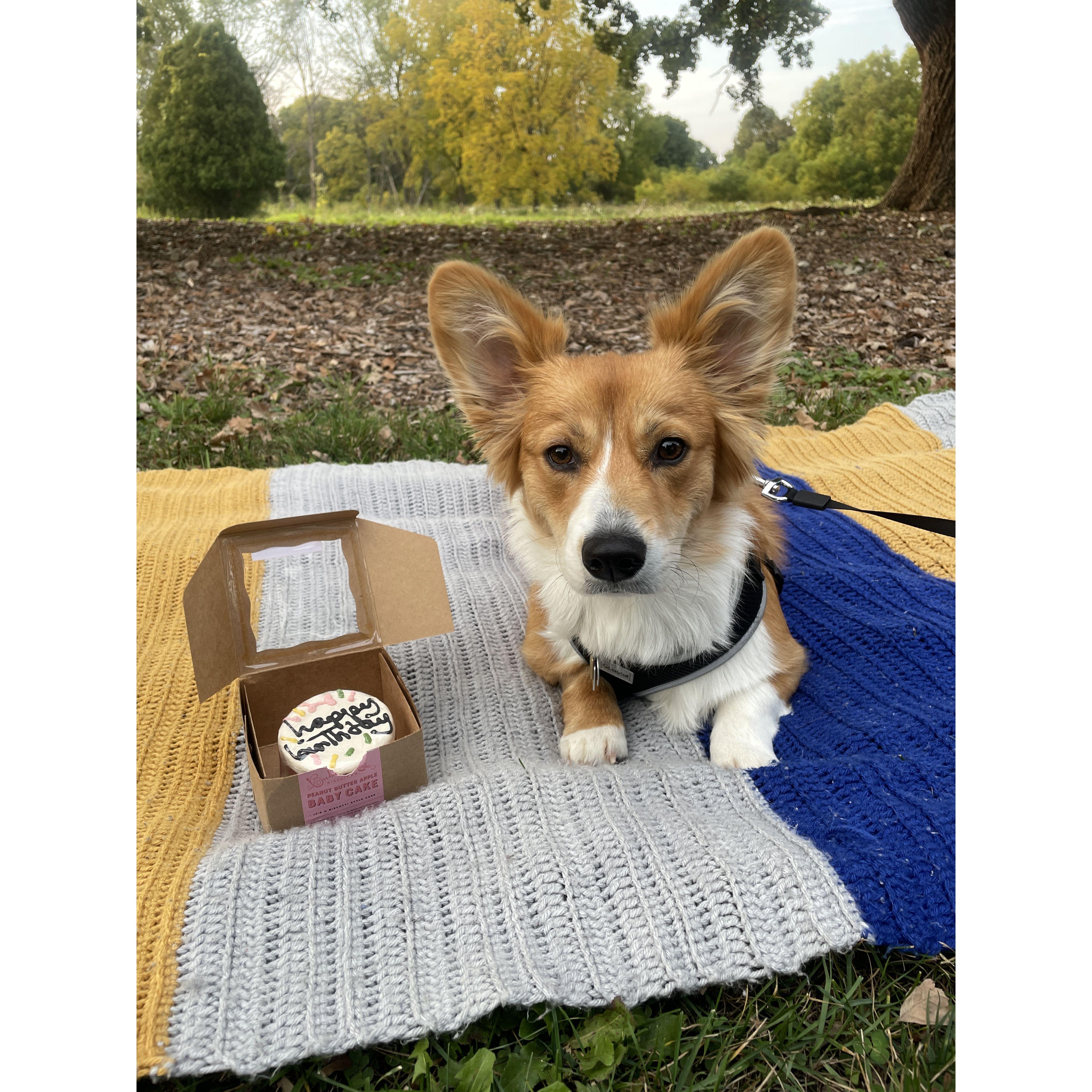 Remi's first birthday photo shoot