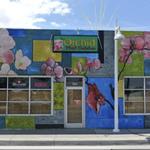 EAT: Orchid Thai Cuisine