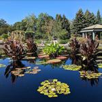 Denver Botanic Gardens