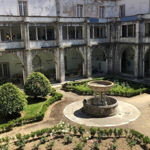 Museum Admission for Honeymoon