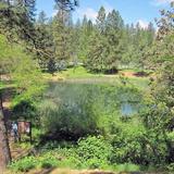 Condon Park