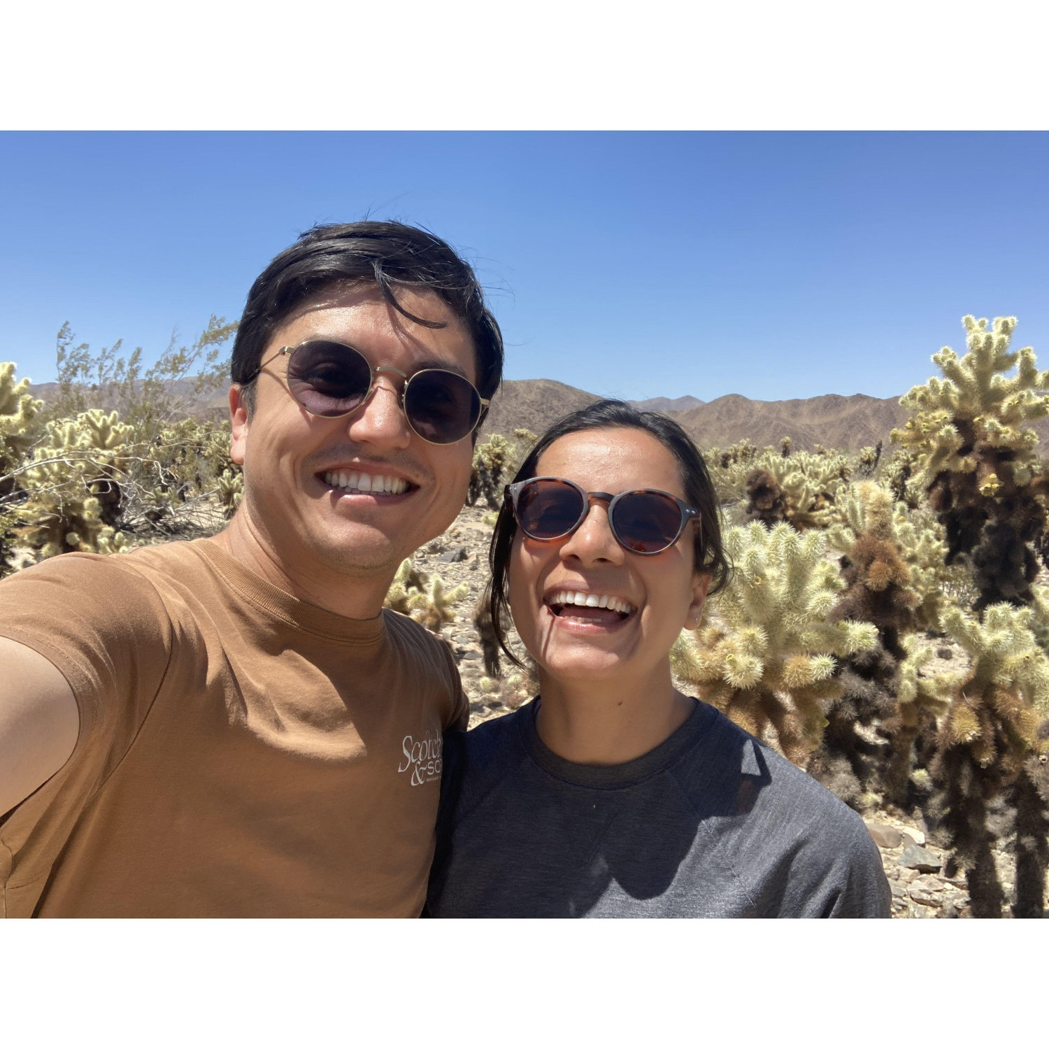 Visiting Joshua Tree