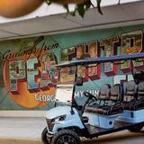 Bulldog Golf Carts