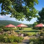 Jefferson Vineyards
