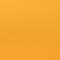 Neon Orange