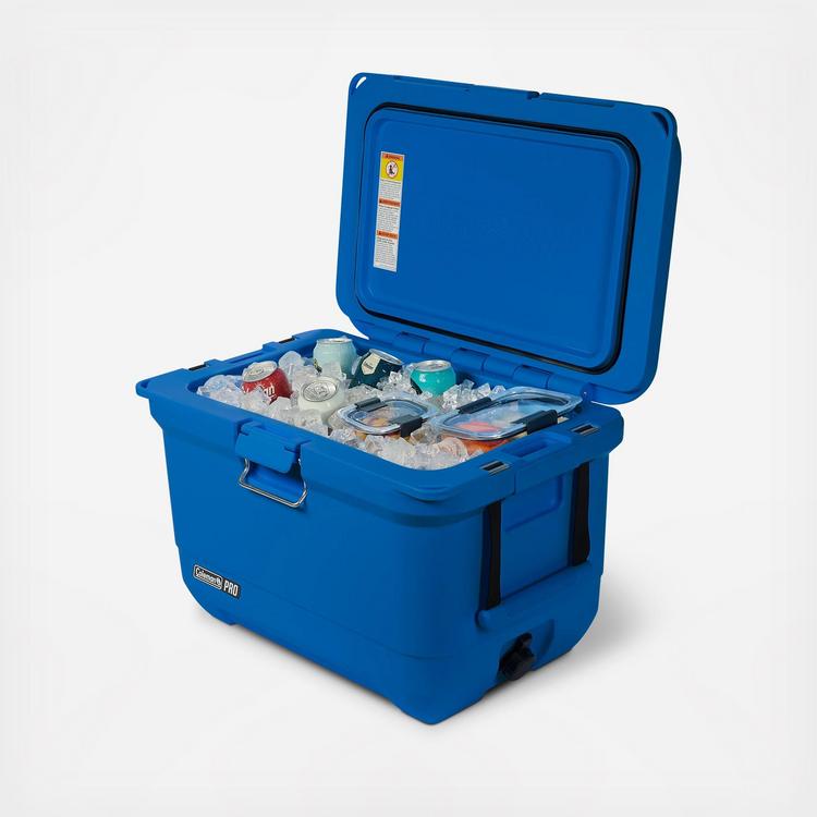 Coleman, Pro 45-Quart Hard Cooler | Zola