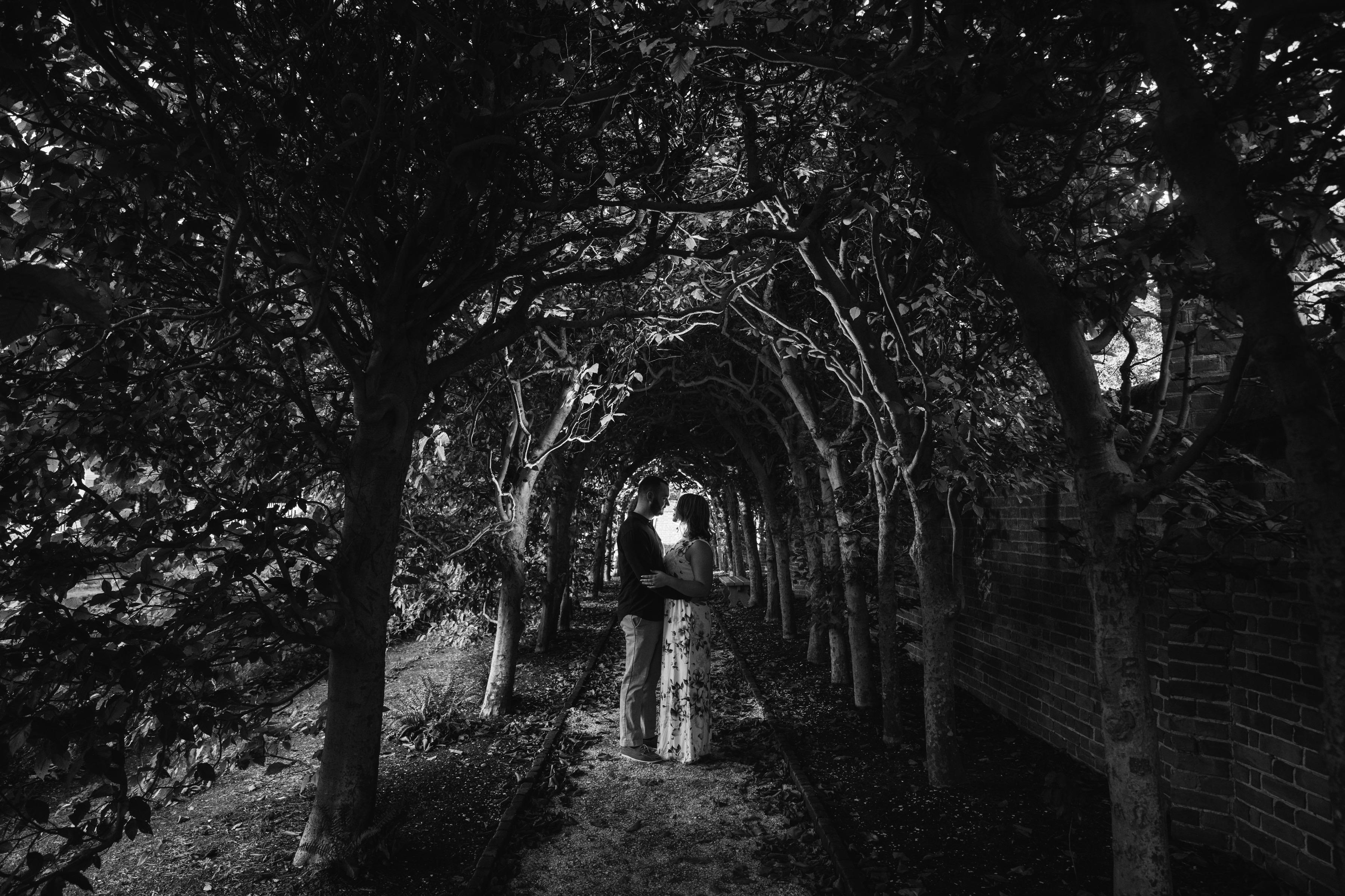 The Wedding Website of Katlyn Moseley and Kelly Green