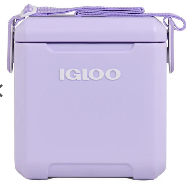 Igloo 11 Qt. Tag Along Too Cooler