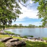 Cove Island Park