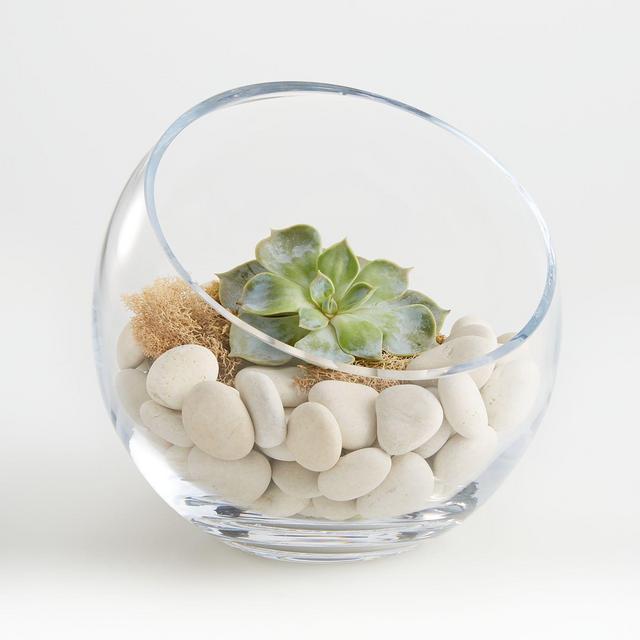 White Beach Stones