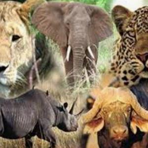 South Africa trip
