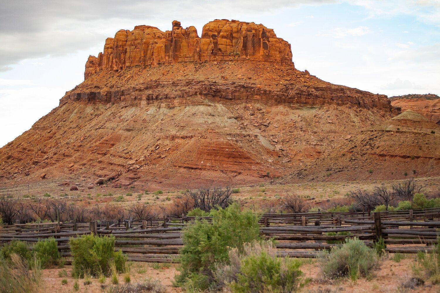 The Wedding Website of Lucy Schoenfeld and Michael Brugger