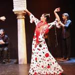 Flamenco Dance Museum