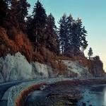 Stanley Park