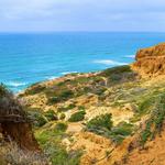 Torrey Pines State Reserve