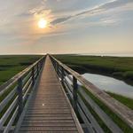 GRAYS BEACH BOARDWALK