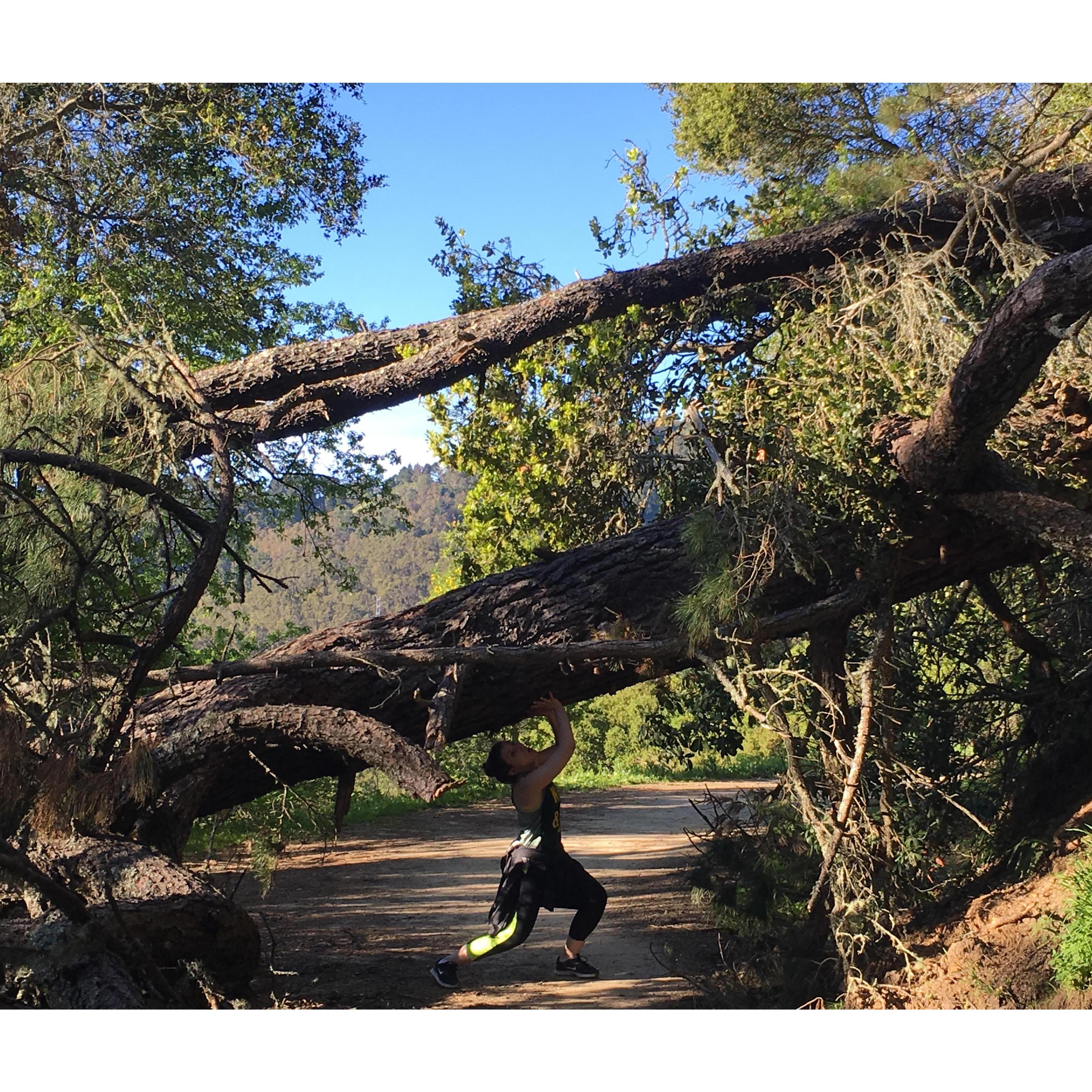 Raquel does her Rocky-style workout in the Berkeley Hills in 2017.