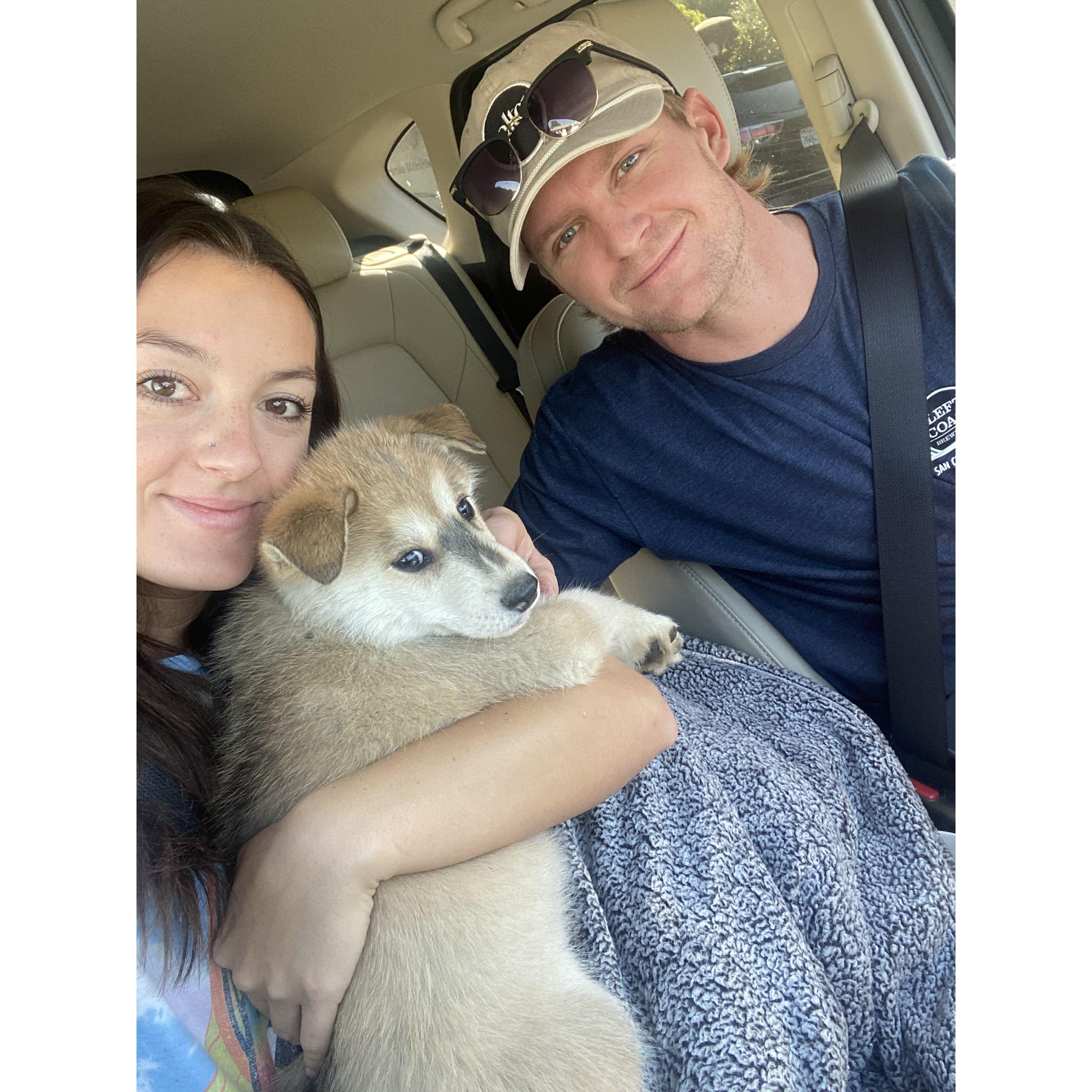 Bringing Hatch home! Long Beach, Ca - 2022