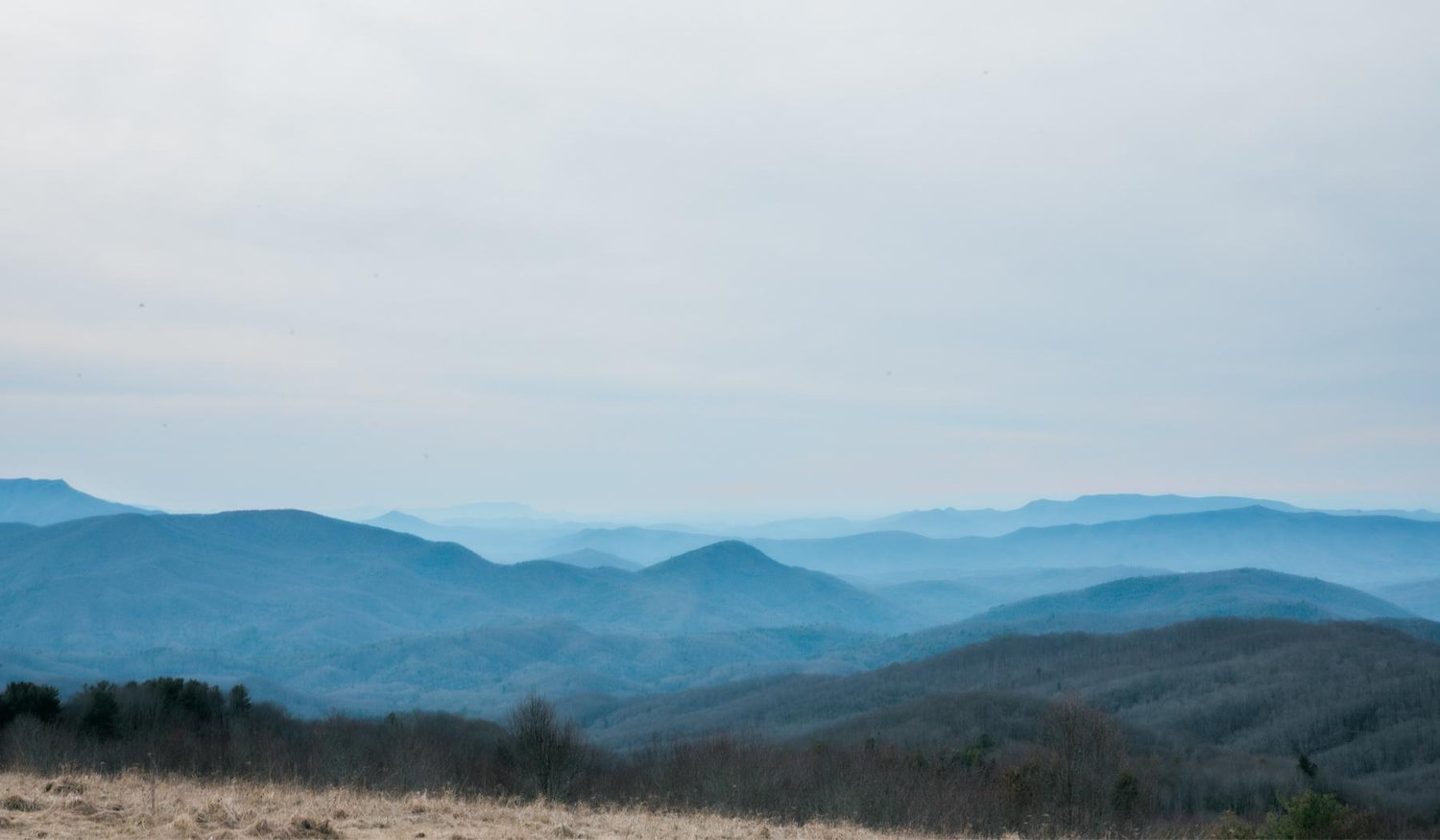 The Wedding Website of Vanessa Badgett and Taylor Wheless