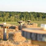 March Farm