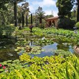 Lotusland
