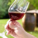 Wine Tour