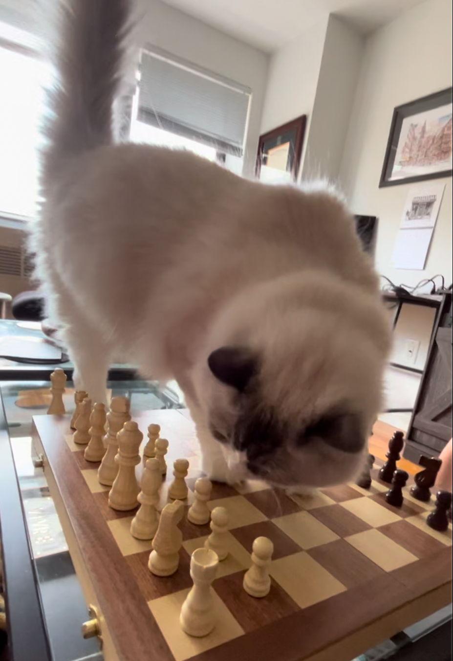 The Wedding Website of Meghan O’Sullivan and Dan Flanagan