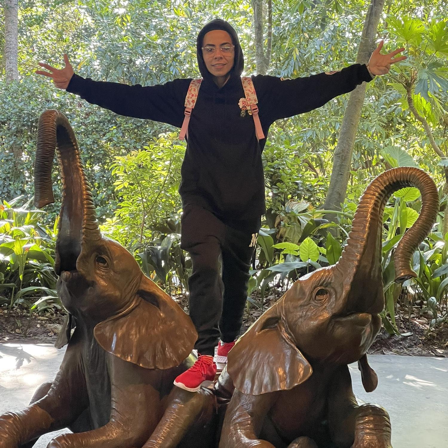 Animal kingdom 🩷