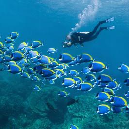 Private Scuba Diving Tour of Cathedrals