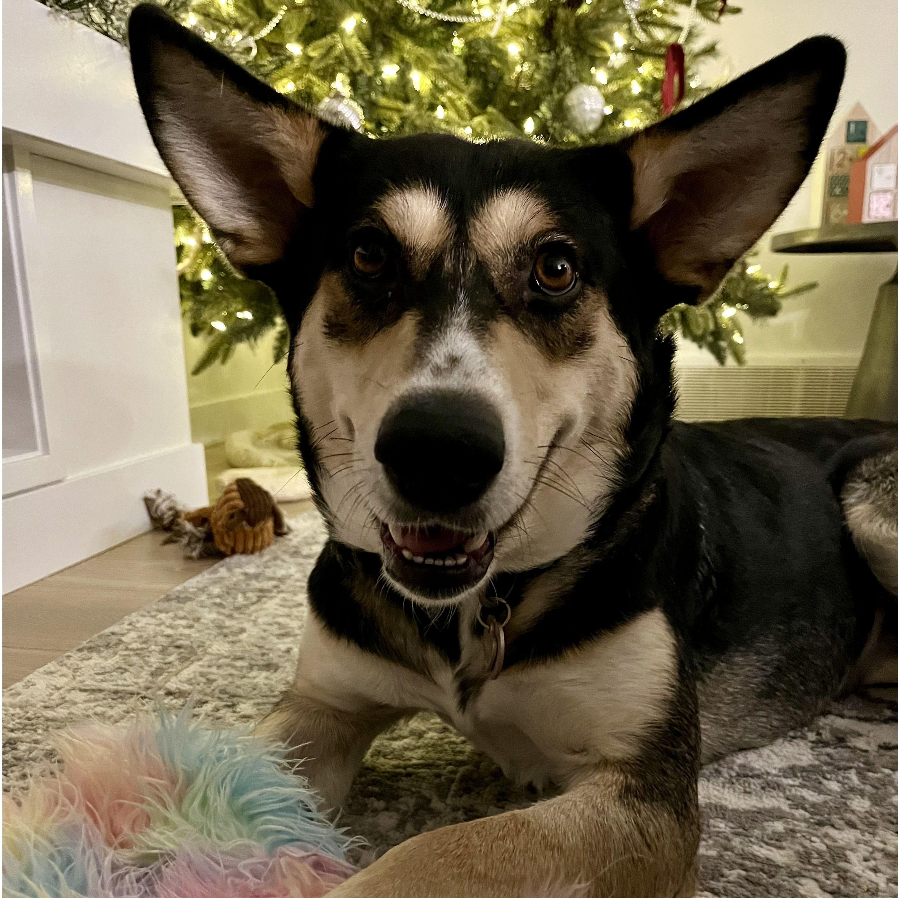 November 30, 2023 - meet molly