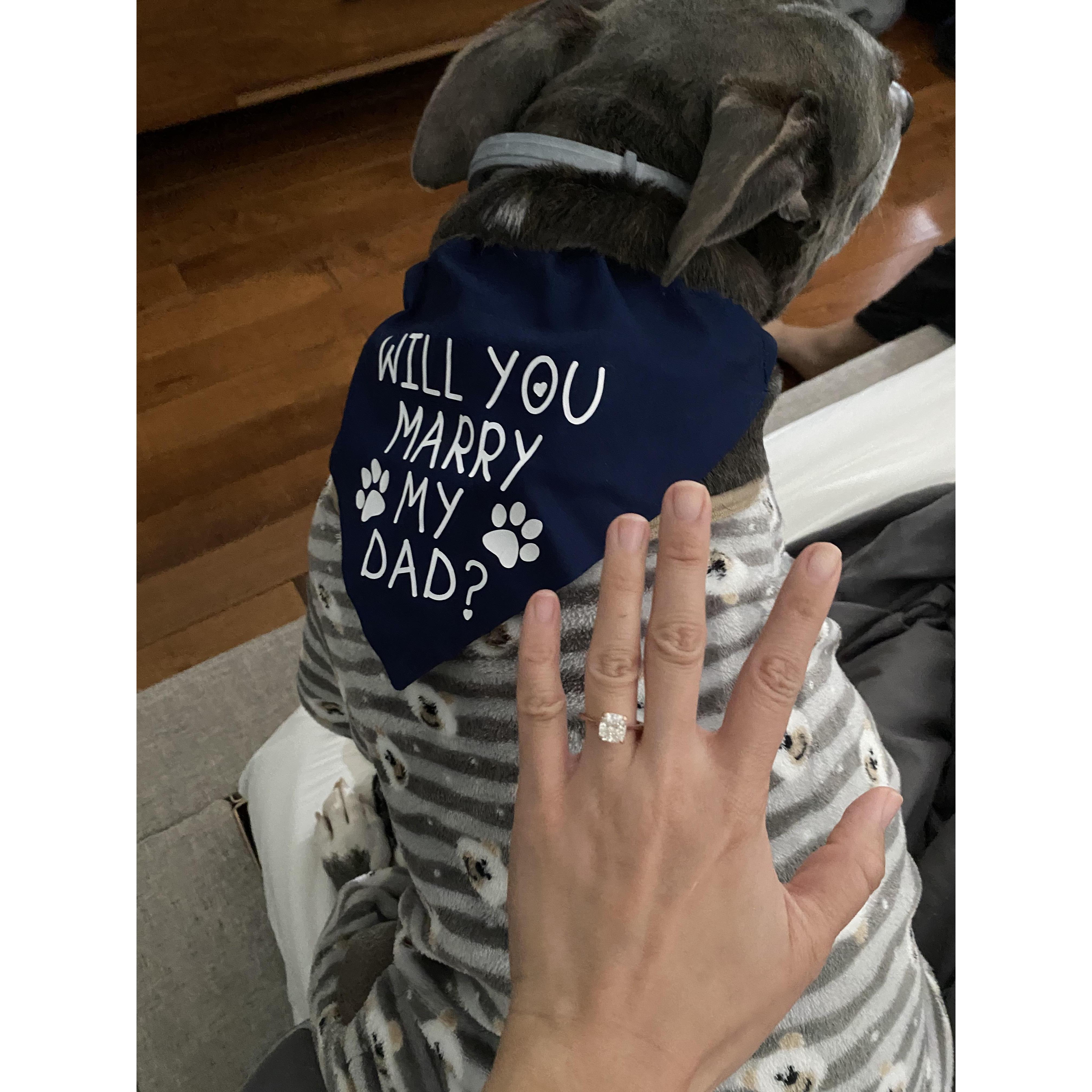 Brian (and Kyle) proposed on 3/7/2021!