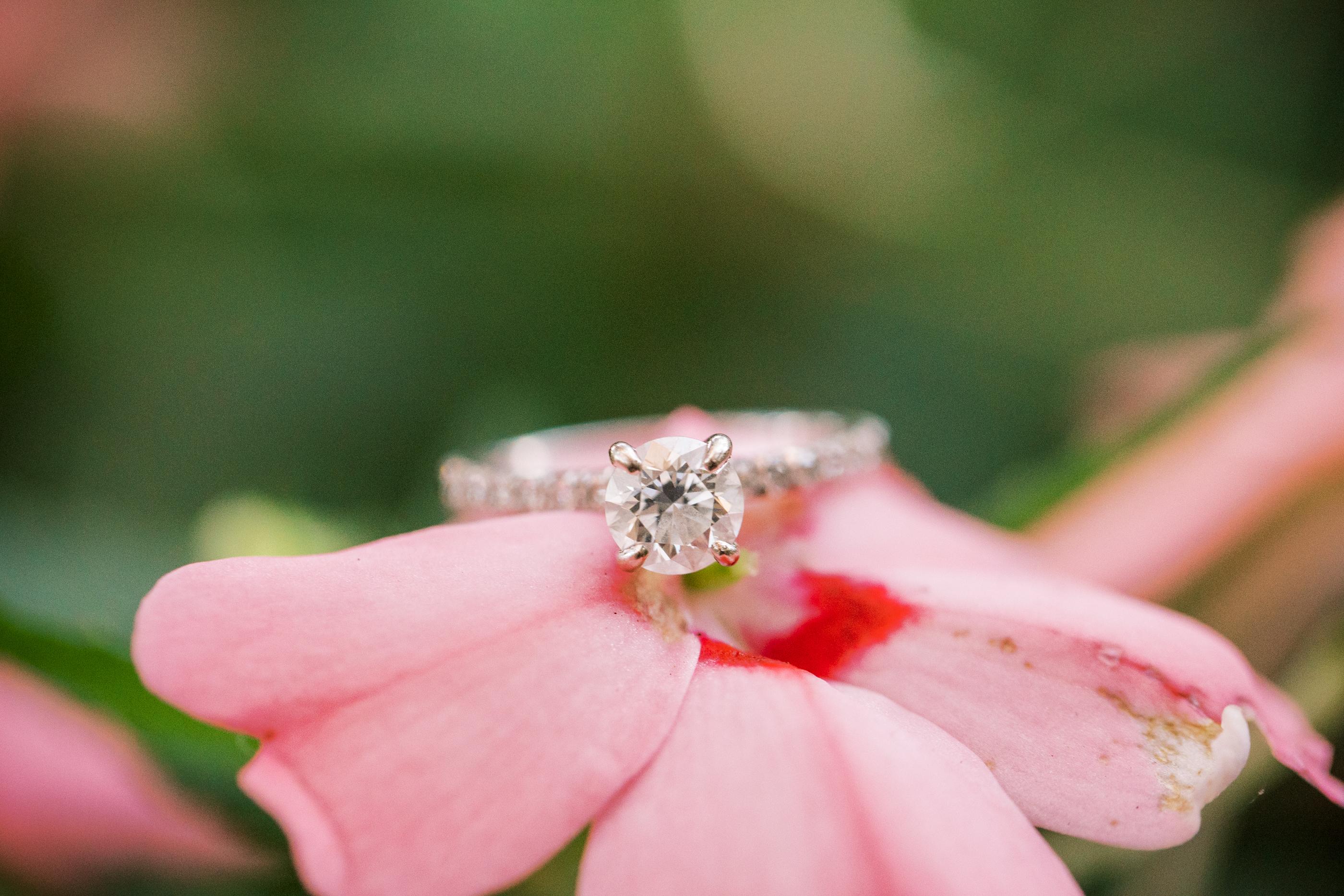 The Wedding Website of Sarah Sonnier and Landon Meynard