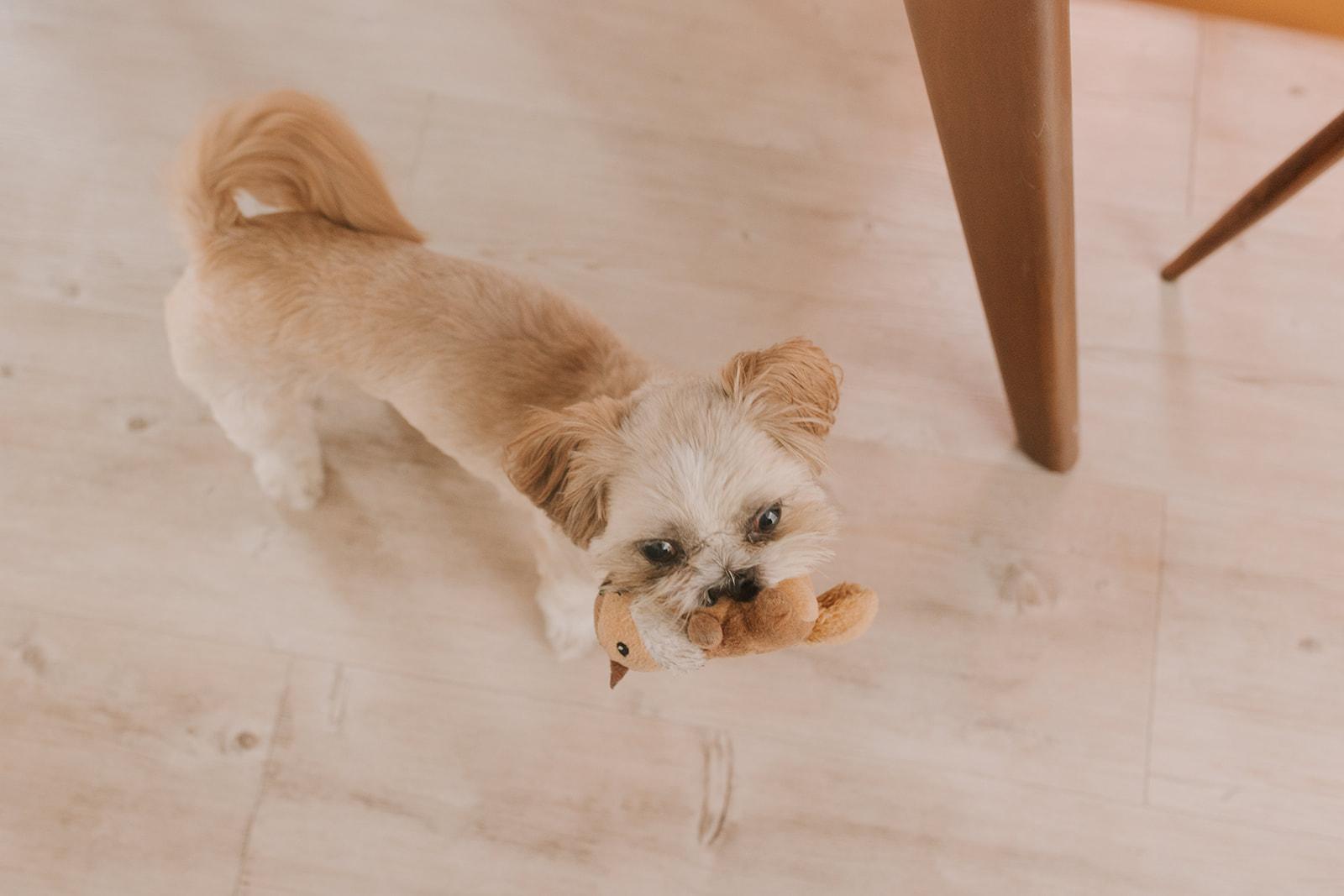 669a8f48-3bd9-4274-a050-f63e9316450d