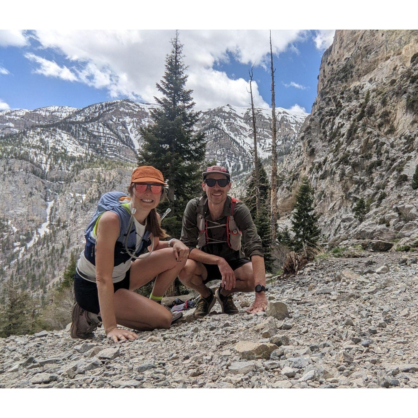 Trail running around Mt. Charleston