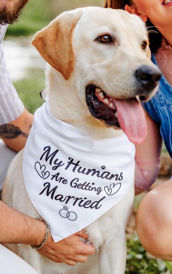 The Wedding Website of Sarah Carter and Trenton Wimberley