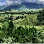 El Yunque