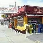 Red Iguana