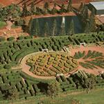 Dole Plantation