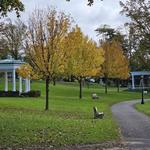 Morgan Memorial Park