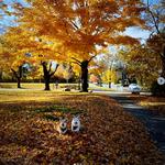 Cushing Memorial Park