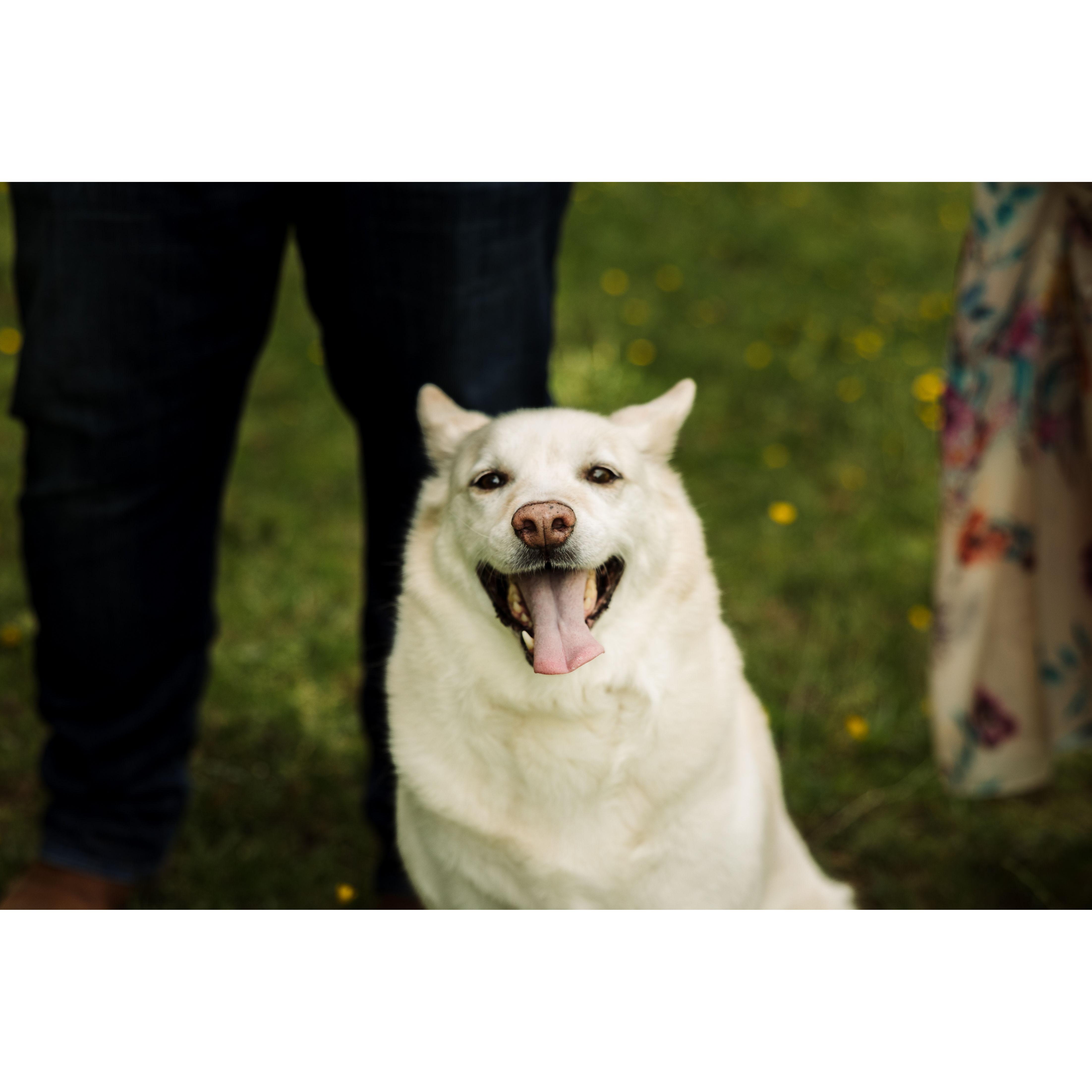 Engagement Photos - May 2025 (Clayton Farm)