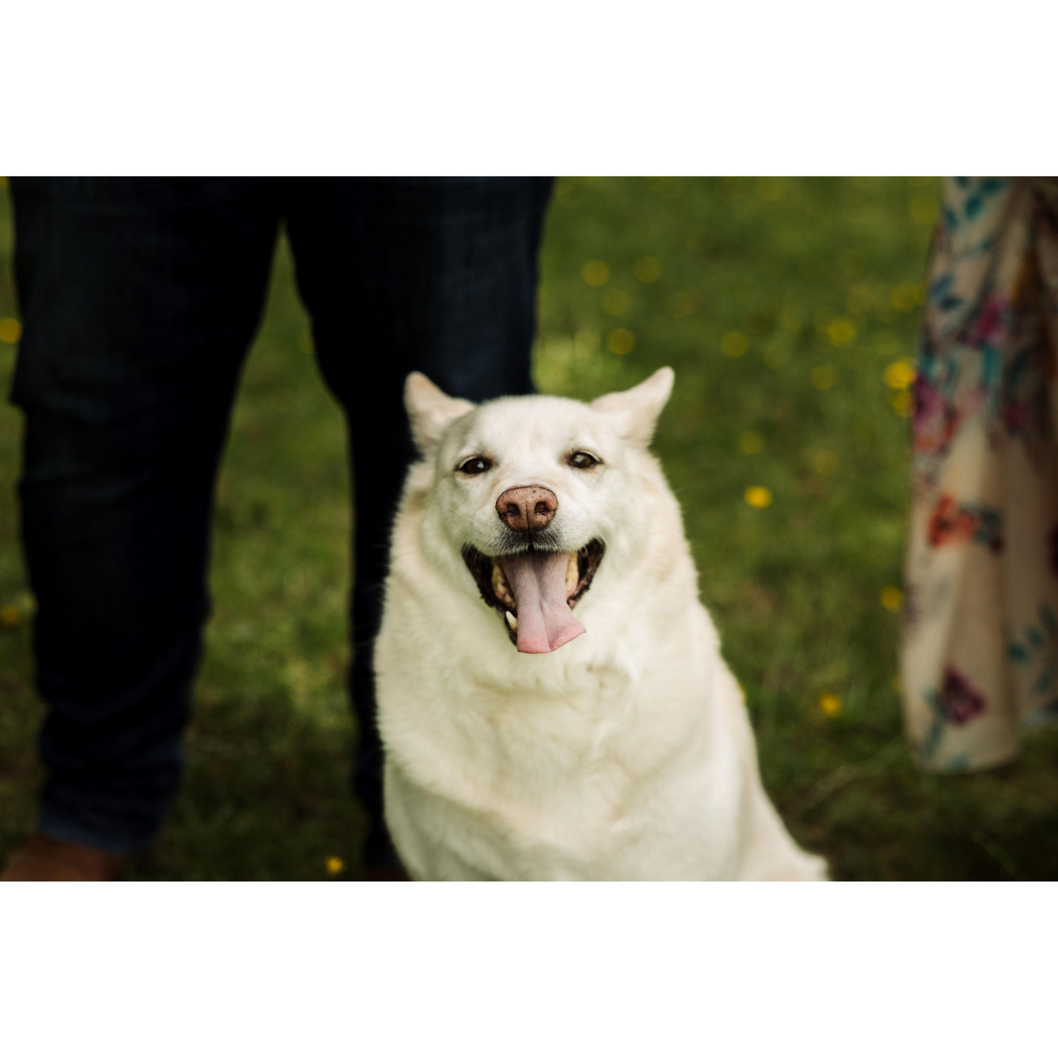 Engagement Photos - May 2025 (Clayton Farm)