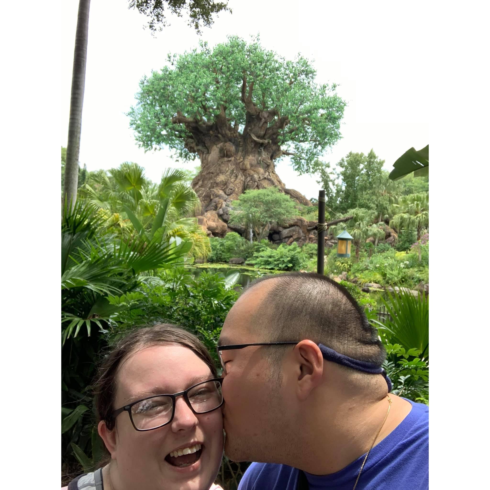 Our first anniversary! We went to Disney World!