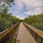 Weedon Island Preserve