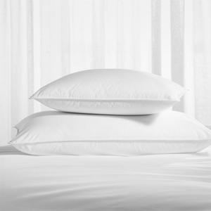 Standard Pillow Protectors, Set of 2