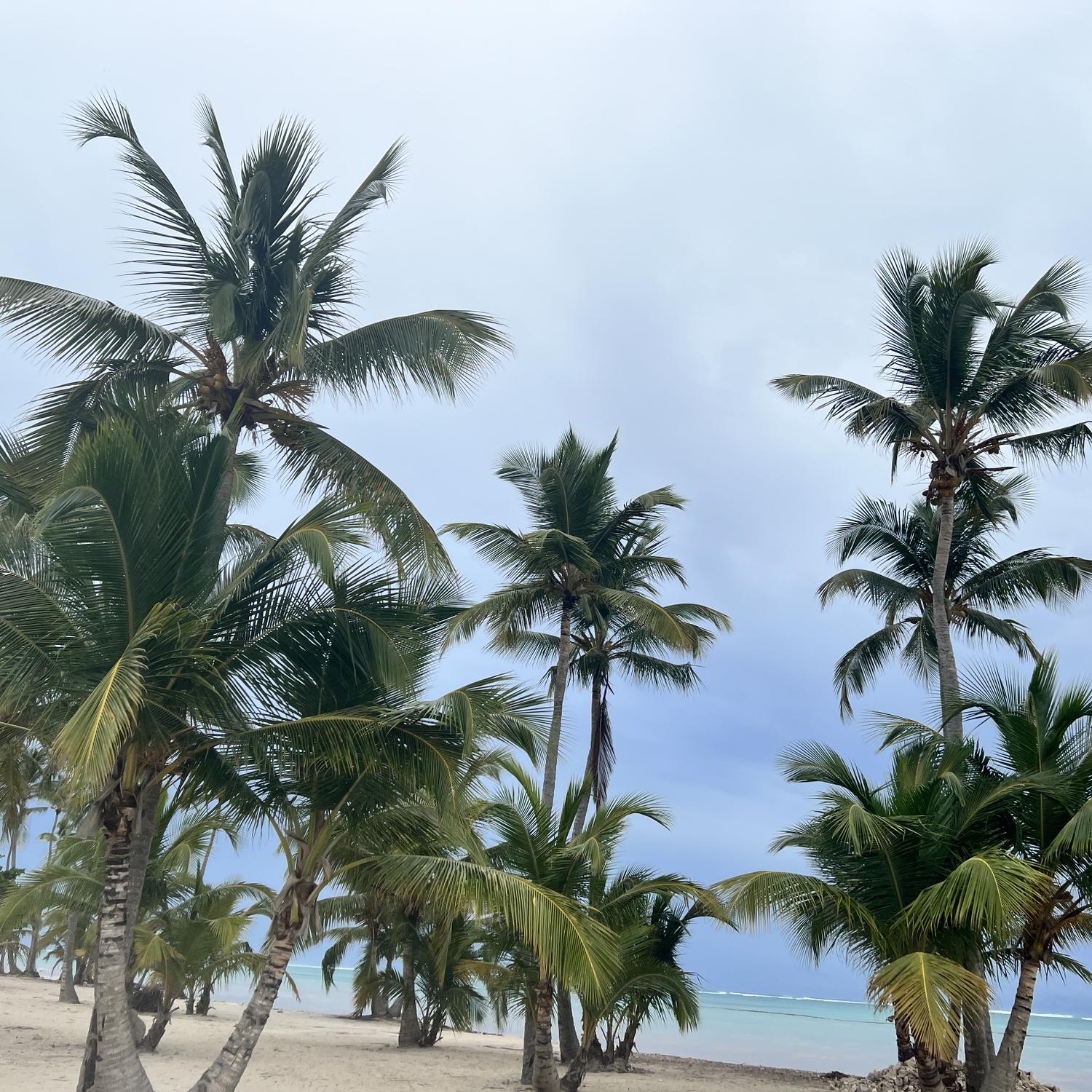 Dunnn dunnTadunnn ….