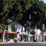 Magnolia Park
