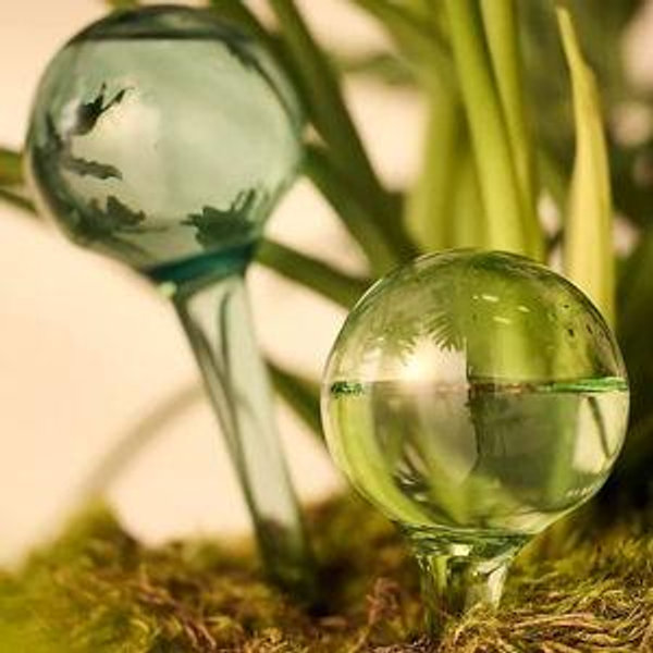 Watering Globes, Set of 2