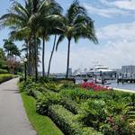 Walk Along the Lake Trail