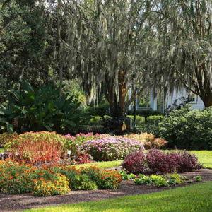 Leu Gardens Annual Membership